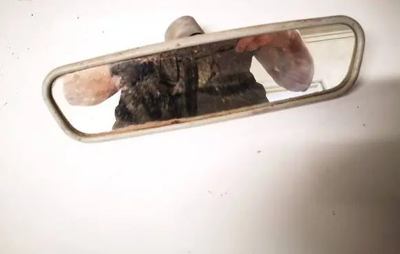 Audi A3 S3 8P Rear view mirror (interior) e1010590