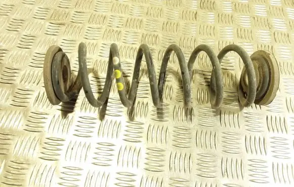 Skoda Octavia Mk2 (1Z) Rear coil spring