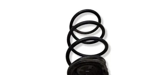 BMW X3 E83 Front coil spring 6759452