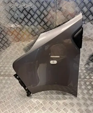 Renault Trafic III (X82) Fender