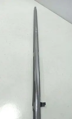 Honda Accord Rear door glass trim molding