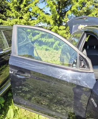 Hyundai Tucson TL Front door