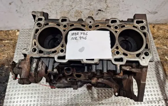 Renault Trafic II (X83) Engine block S25081946 M9R786