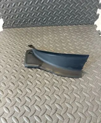Rear/tail light trim molding