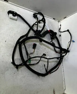 Front door wiring loom