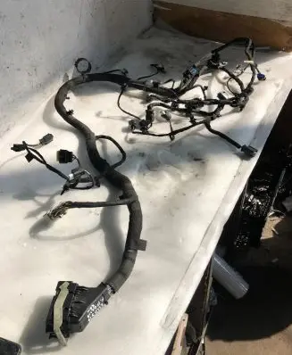 Ford Focus Engine installation wiring loom Mx6t12c508nmd