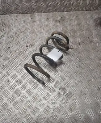 Rear coil spring