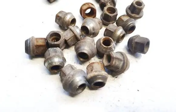Ford Focus Nuts/bolts 