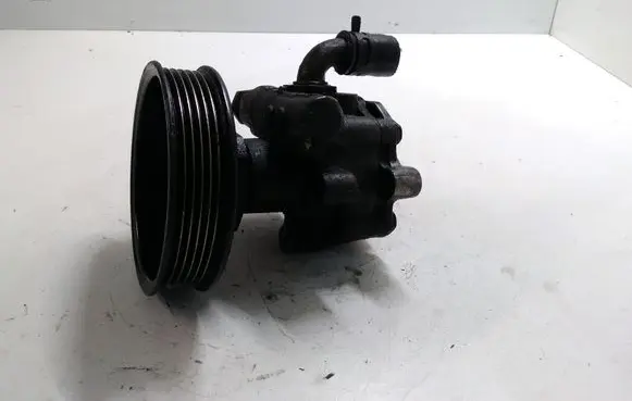 Volkswagen Golf IV Power steering pump 1J0422154B 030145269A