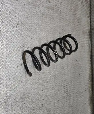Renault Scenic RX Rear coil spring
