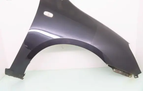 KIA Carens III Fender