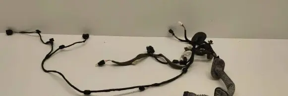Renault Espace V (RFC) Front door wiring loom 241256268R
