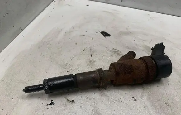 Peugeot 406 Fuel injector 04451100769641742880