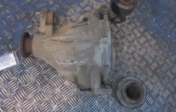 Land Rover Freelander Rear differential 174-002