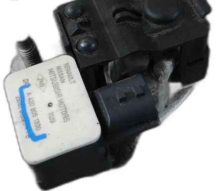 Dacia Jogger Other wiring loom A4209051300