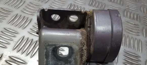 Renault Scenic II - Grand scenic II Rear door lower hinge
