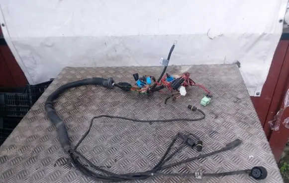 BMW X5 E53 Other wiring loom 10055910