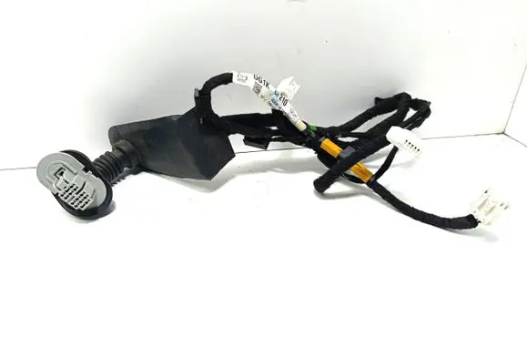 Rear door wiring loom