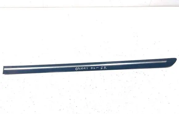 Toyota Camry Rear door trim (molding) 75742AA060