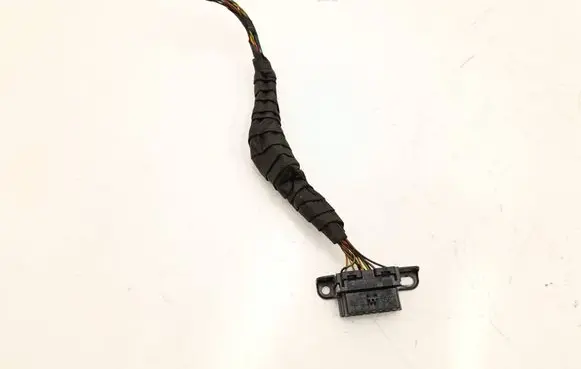 BMW X1 E84 Other wiring loom 6954580