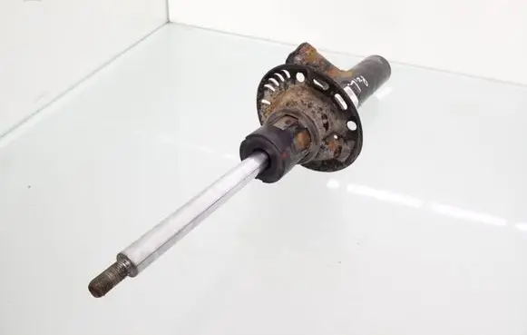 Volkswagen PASSAT B7 Front shock absorber/damper 3C0413031D