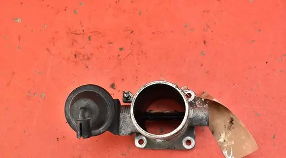 Throttle body valve
