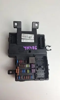 KIA Carnival BSM Control unit 919544D270