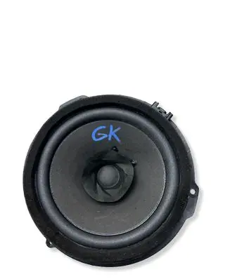 Ford F150 Rear door speaker 