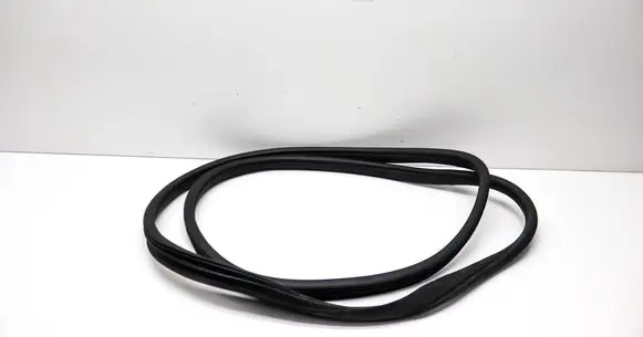 Mercedes-Benz GL X164 Rubber seal front coupe door A1646900076