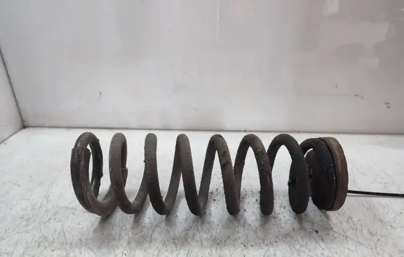 Rear coil spring