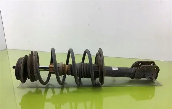 Fiat Punto (188) Front shock absorber with coil spring FT1214