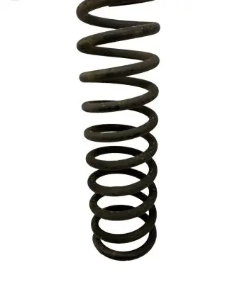 Ford Focus Rear coil spring