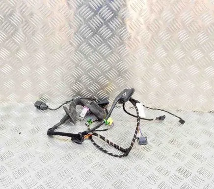 Front door wiring loom