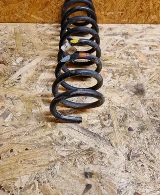 Rear coil spring