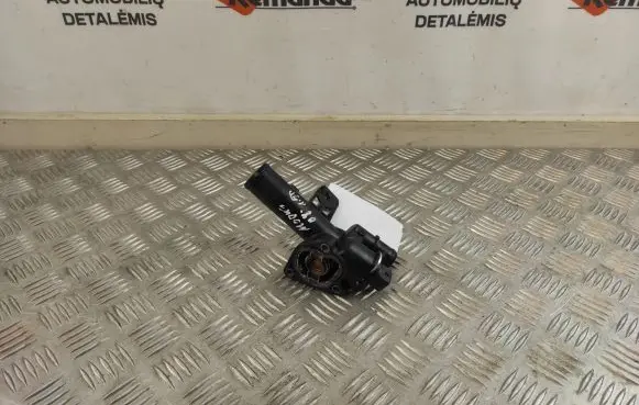 Thermostat/thermostat housing