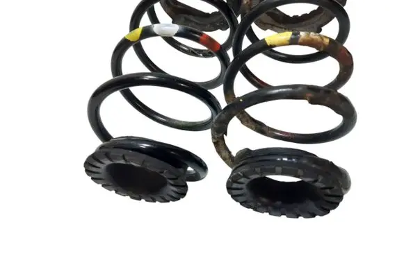 Rear coil spring