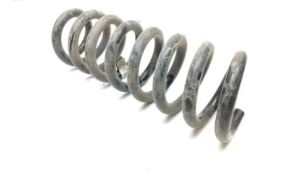 Land Rover Discovery Sport Rear coil spring FK725B749TD 9317