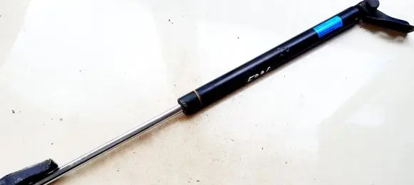 Tailgate/trunk strut/damper