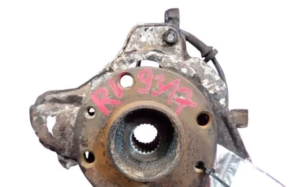Fiat Punto (188) Front wheel hub spindle knuckle