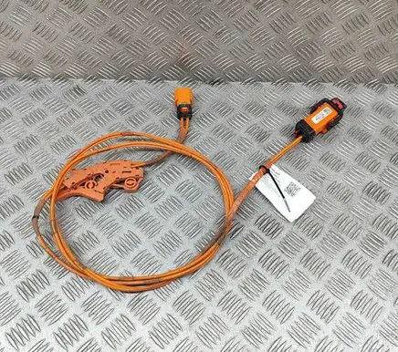 Tesla Model 3 Other wiring loom 110900405G
