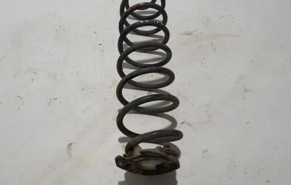 Citroen C4 III e-C4 Rear coil spring 9835940880
