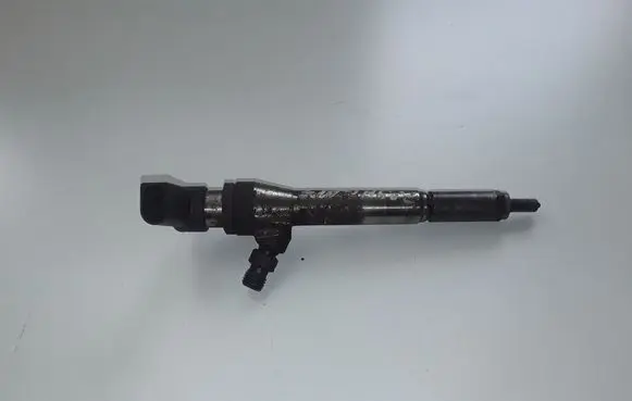 Nissan Qashqai+2 Fuel injector 166009445R