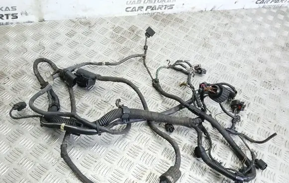 Volkswagen PASSAT B6 Engine installation wiring loom 