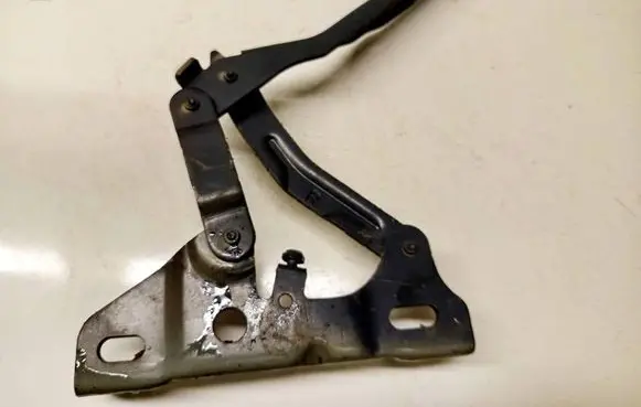 Hyundai Tucson IV NX4 Engine bonnet/hood hinges 