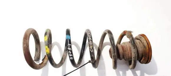 Rear coil spring