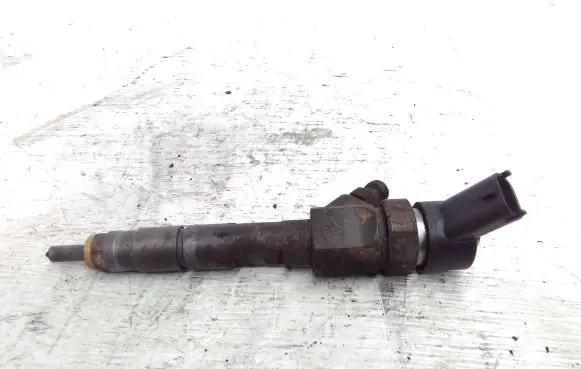 Renault Laguna II Fuel injector 0445110110 8200100272