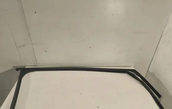 Ford Focus C-MAX Rubber seal front coupe door window 3M51R21510