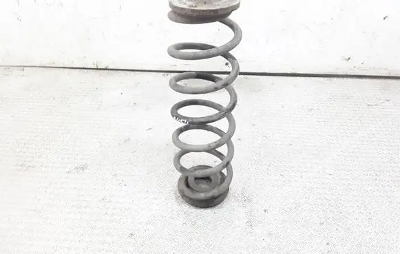 Volkswagen Jetta V Rear coil spring