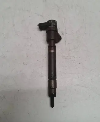 Volvo V70 Fuel injector 0445110251