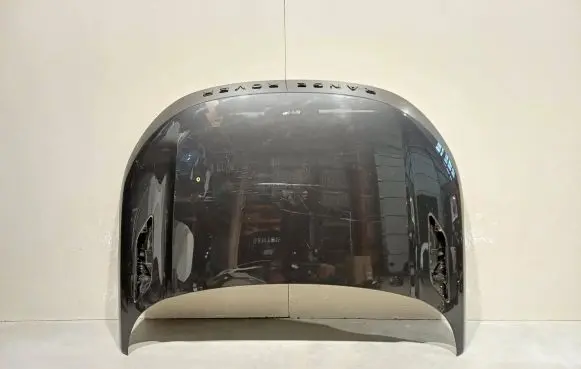 Engine bonnet/hood